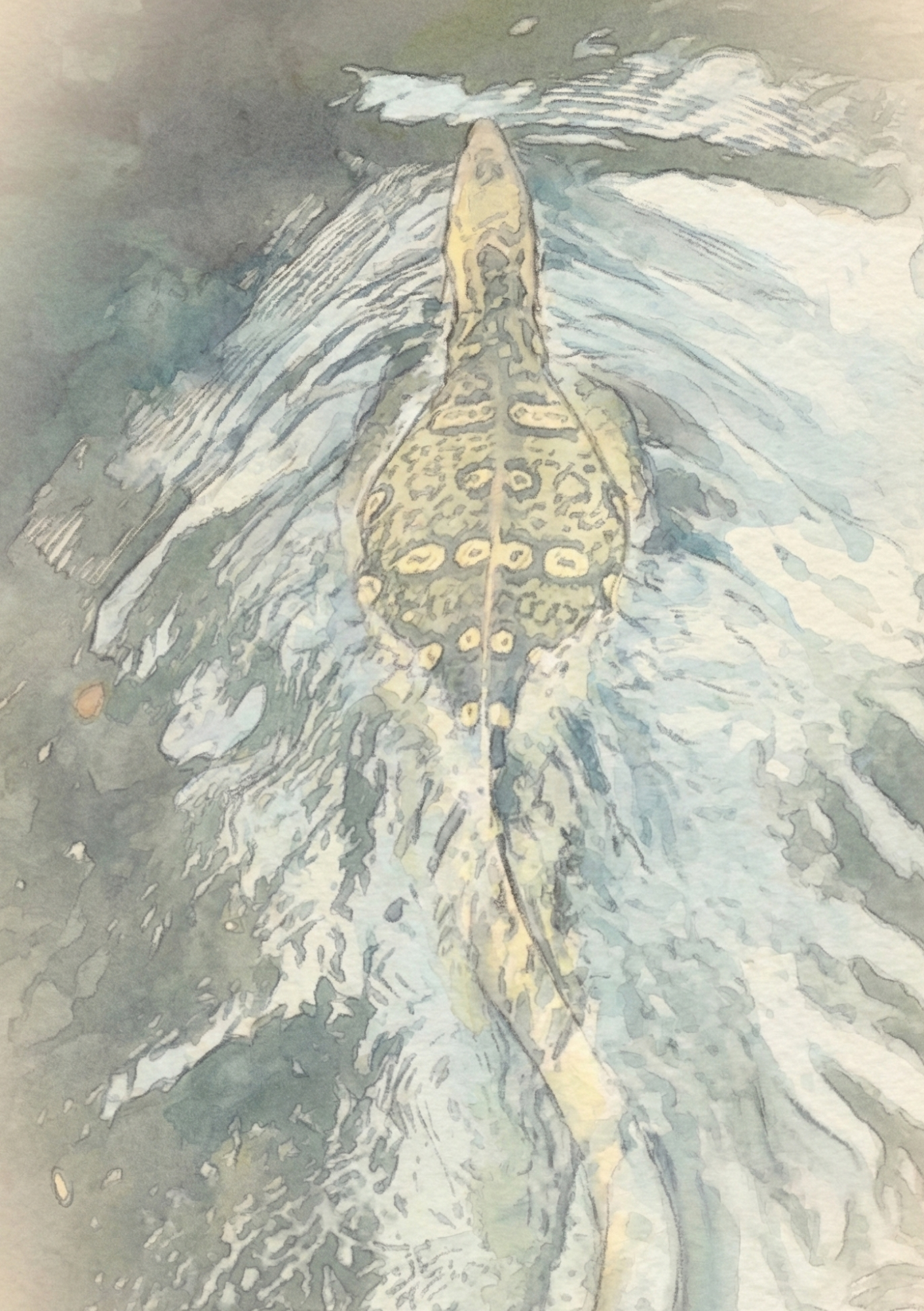 Memorias del camino — Edición Tailandia